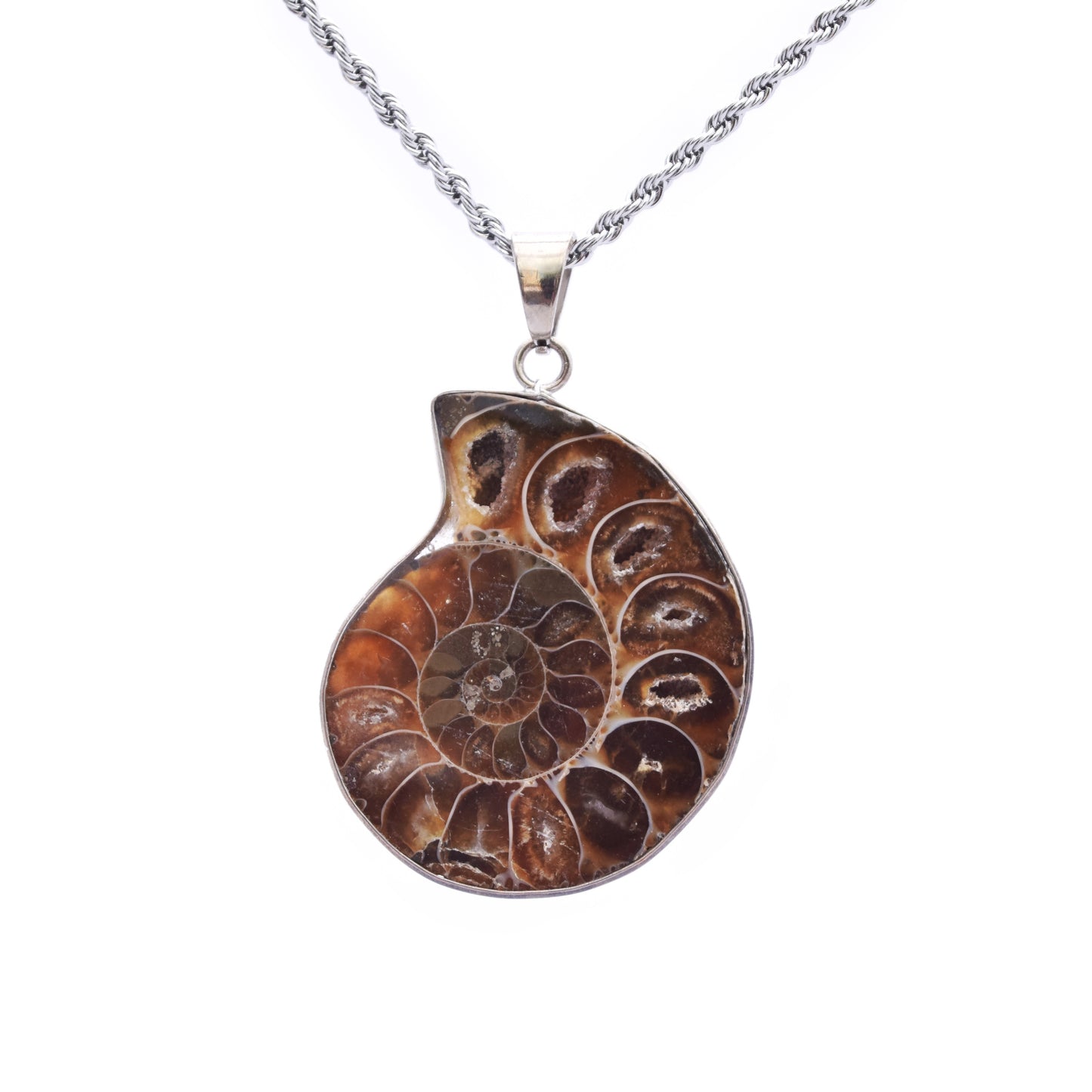 Fossil Necklace