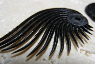 view of plastic wing lash