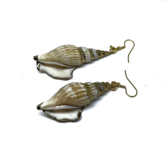 dangle shell earrings