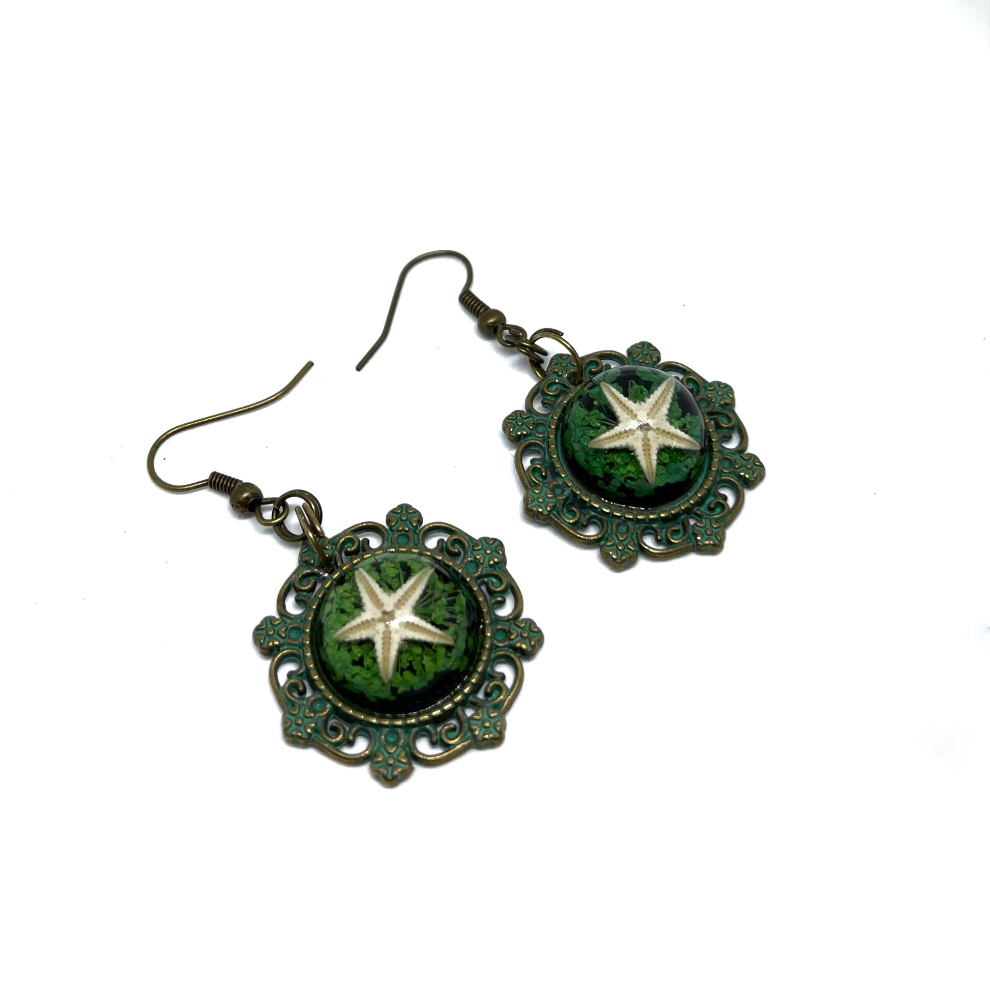 real starfish in a patina setting dangle earrings