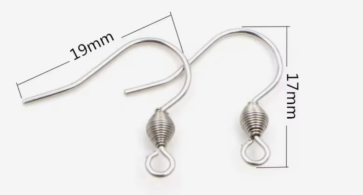 Stainless Steel French Hook Earring Wires 10 pcs